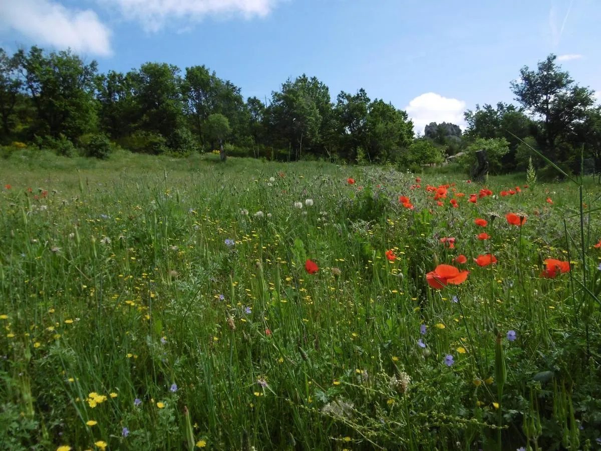 Bed & Breakfast Les Vignes De La Tour Saint-Blaise